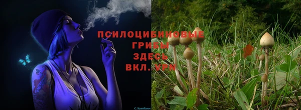 герыч Новокубанск