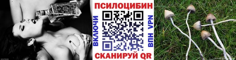 Псилоцибиновые грибы Psilocybine cubensis  Купить где  Спасск-Дальний 