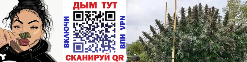 Купить закладки  Спасск-Дальний  Марихуана семена 